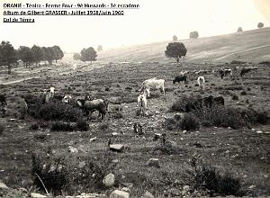 Grasser-9e Hussards - 062